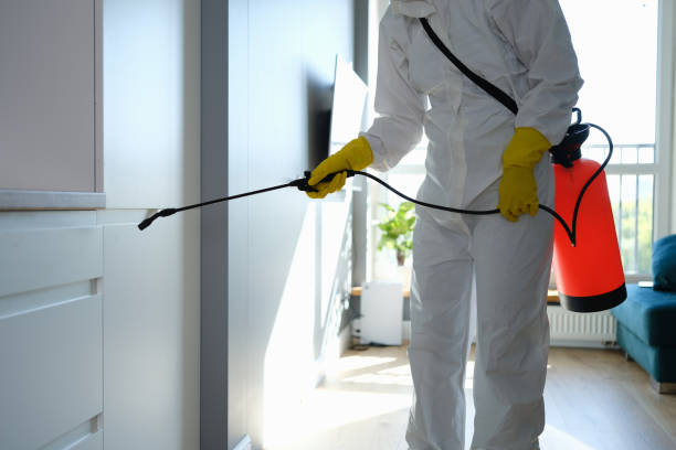 Trusted North Highlands, CA Mold Remediation Experts